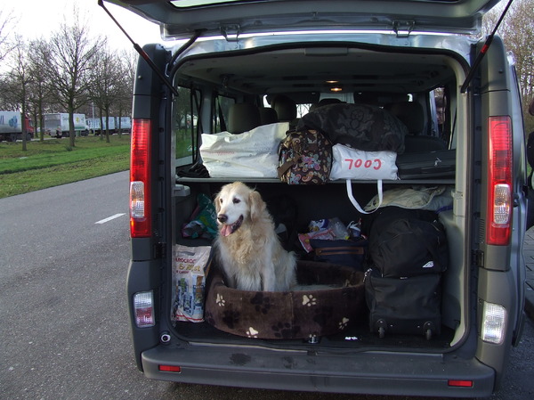 Remi in de kofferbak!