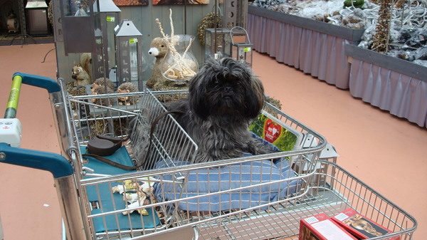 lekker mee boodschapjes doen