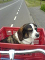 charley met mee de fiets