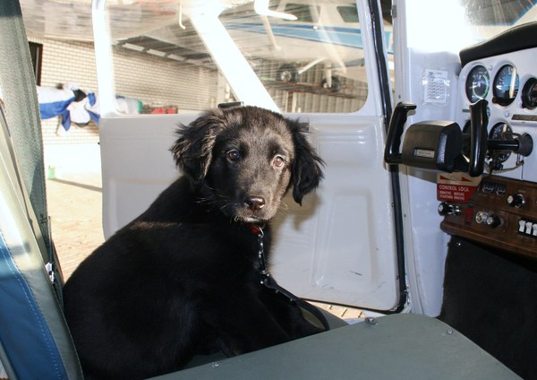 Cessna in een Cessna