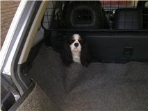 Ik wil er nog niet uit!