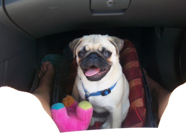 In de auto naar Frankrijk :D