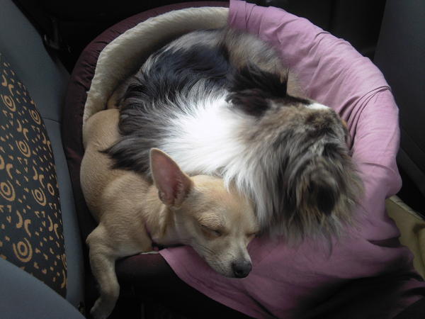 Vermoeiend hoor zo een autoritje