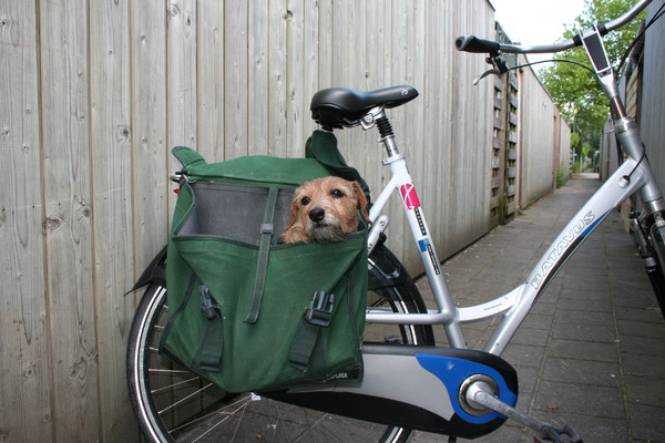 saar in de fietstas.