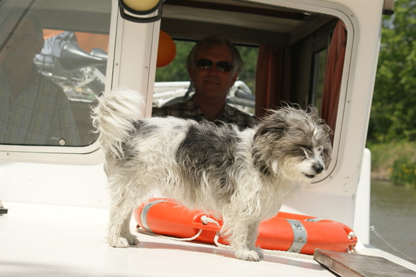 Flupke op de boot in Frankrijk