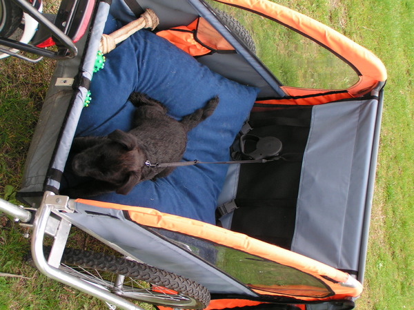 Lekker met de fietskar weg