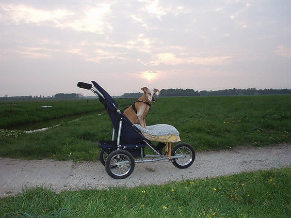 Laatste rit.. 26 april 2007