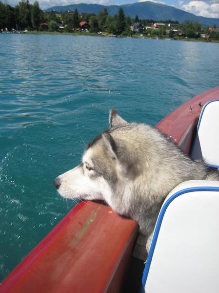 Bootje varen, mag ik zwemmen?