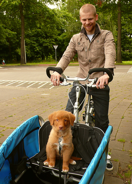 Caya is gek op ritjes in de bakfiets!