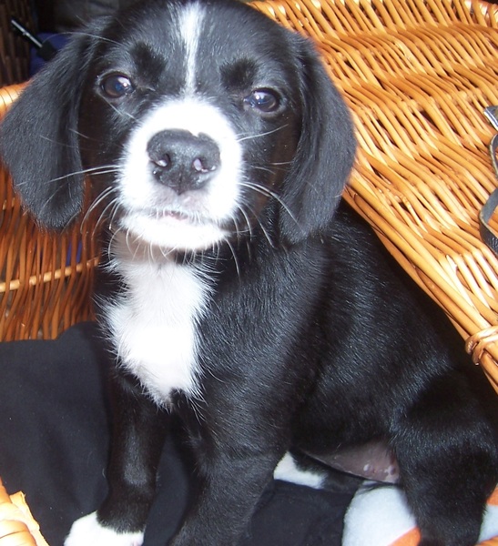 Iris voor het eerst mee op de fiets 