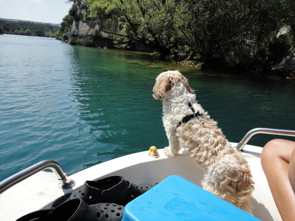 pluchke op/in de pedalo