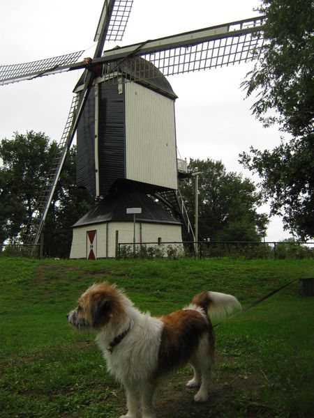 storm bij een molen