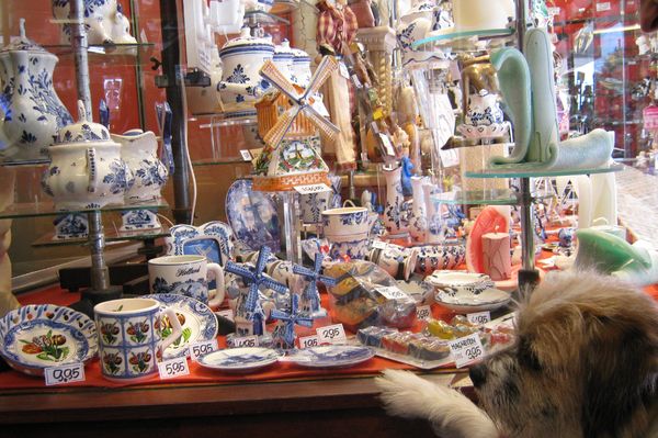 delfts blauw kijken in een etalage