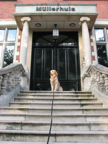 Holland: de rijke handelshuizen