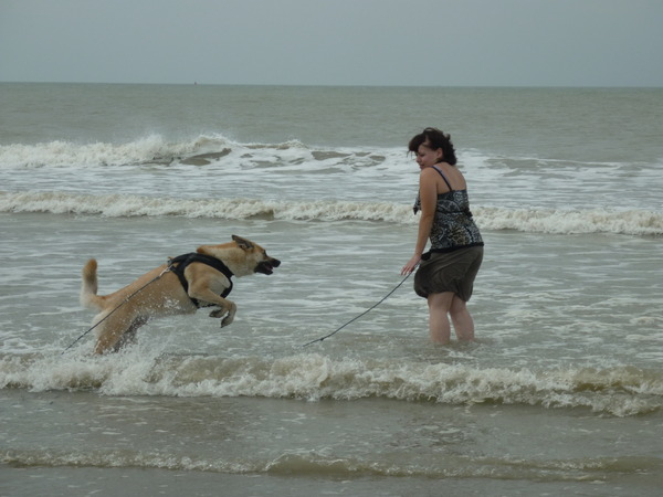 daguitstapje aan de zee