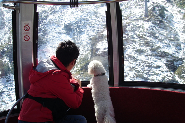samen op weg naar de eeuwige sneeuw