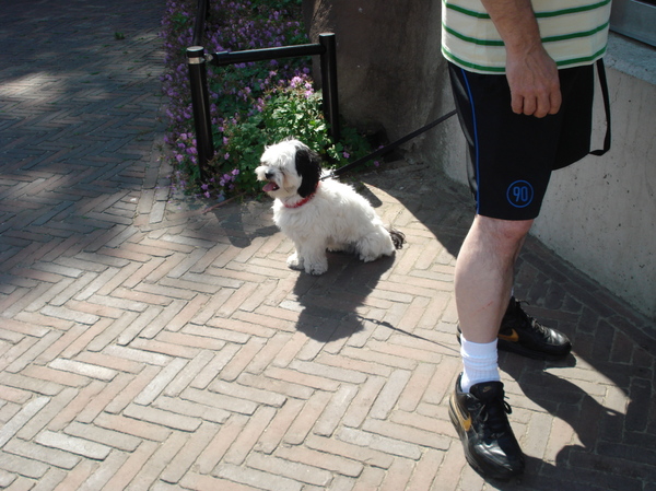 gezellig in de dierentuin