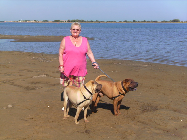 MET ONS VROUWTJE AAN HET STRAND