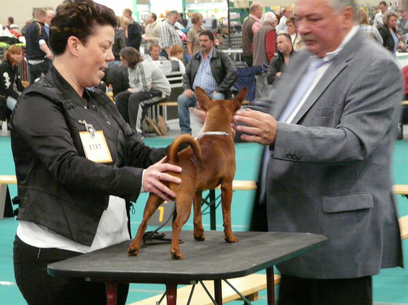 Het vrouwtje en Cody op de Internationale show in Maastricht.