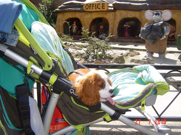 naBinky in het pretpark  