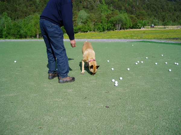 op naar de golfbaan!