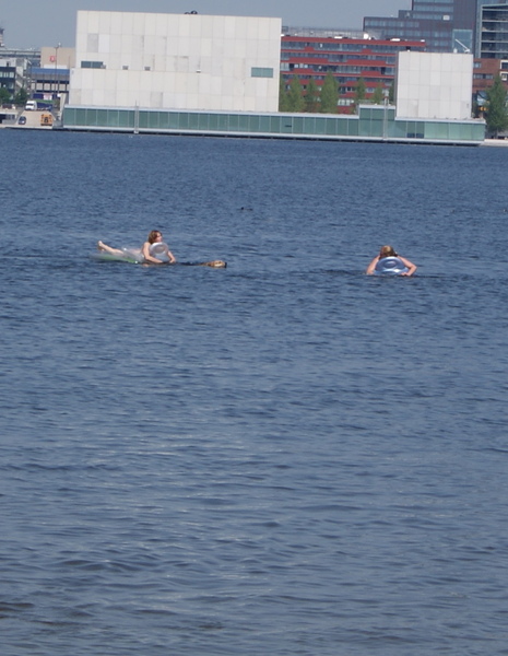 Zwemmen op het hondenstrand