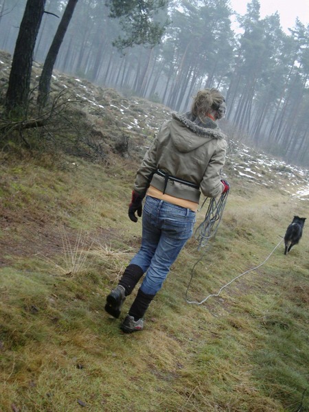 in de winter in het bos