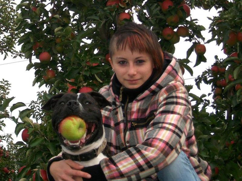 Tussen de Appelen en Peren