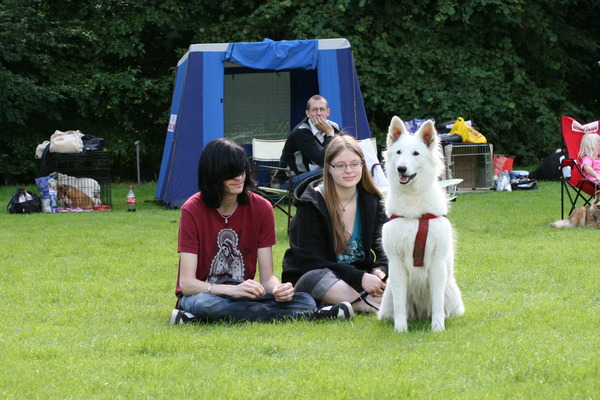 Met Indy kijken bij de Flevodog Show!