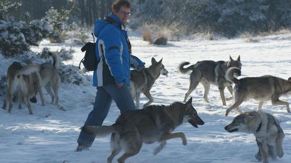 wolfhonden wandeling 
