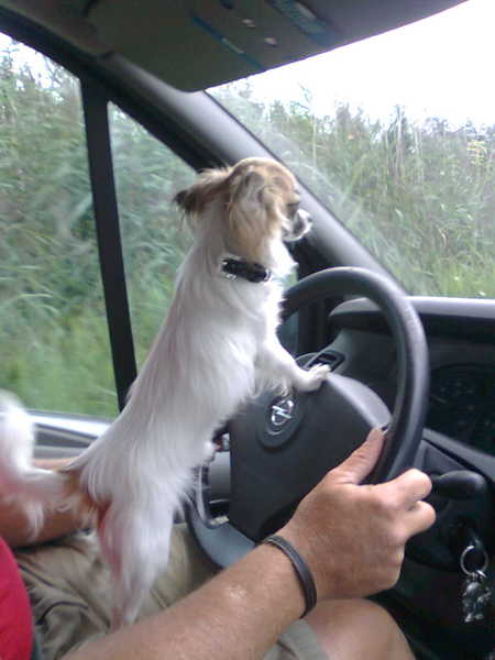 Glaasje op, laat je rijden