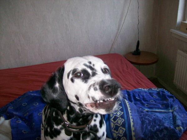 Wat ben ik stoer he?