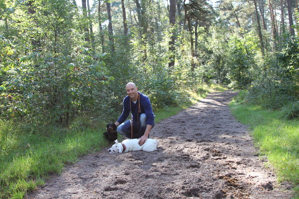 Wij in het bos