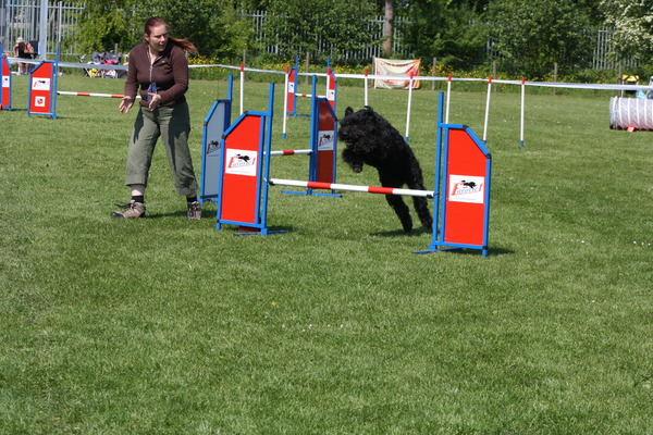 Behendigheidswedstrijd