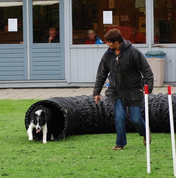 Wat kan ik snel hé ?