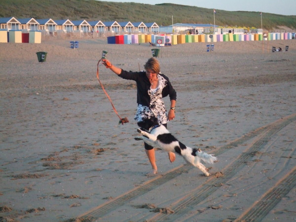Zomeravond op het strand