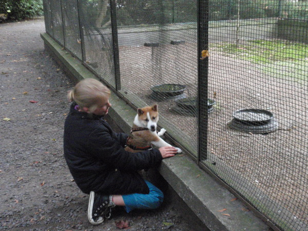 Lena kijkt naar de vogeltjes