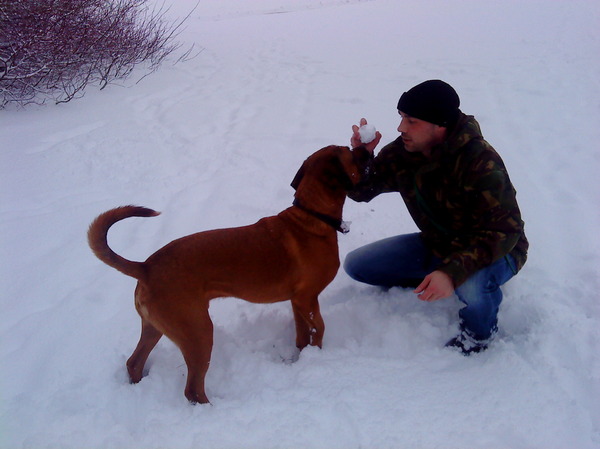 Sneeuwpret: alles is mooi