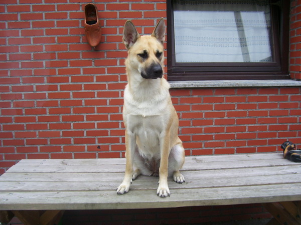 poort in het oog houden