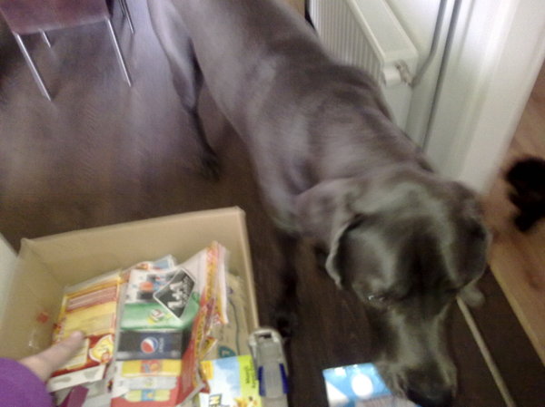 Athos helpt met papier