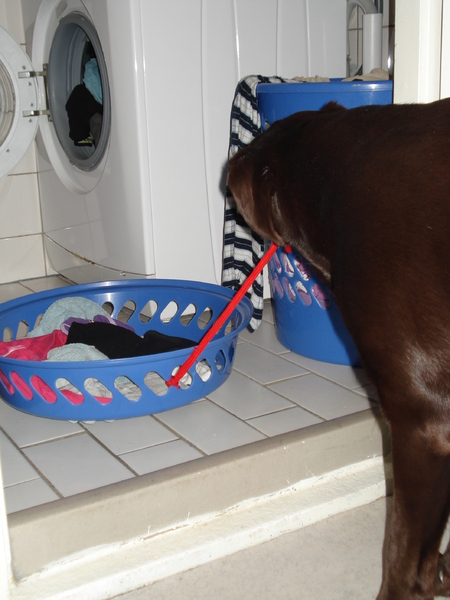 Slepen van de wasmand