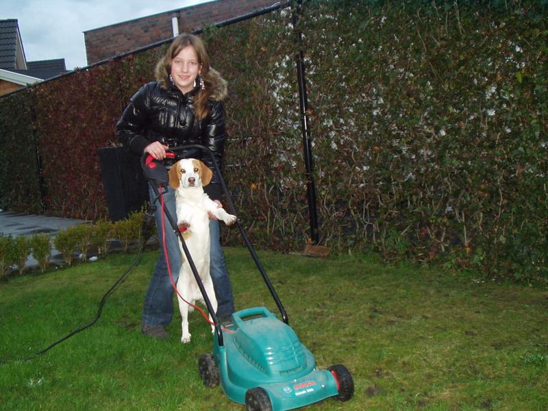 Pukkie en ik aan't grasmaaien