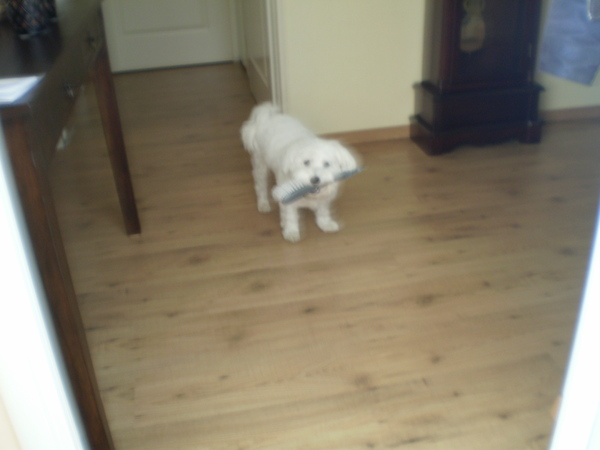 Ik help mee met de stoffer.