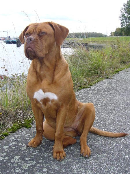 Jaaaa  lekker stoer zijn 