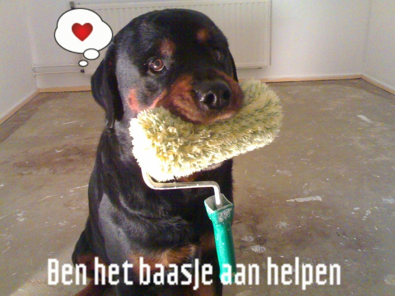 baasje helpen met verfen