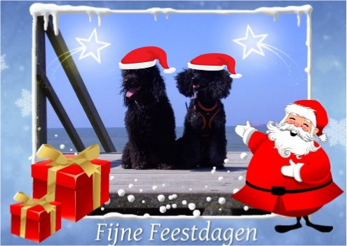 woopy en faith wensen iedereen prettige feestagen