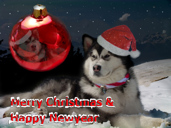 Kerstmis en nieuwjaar