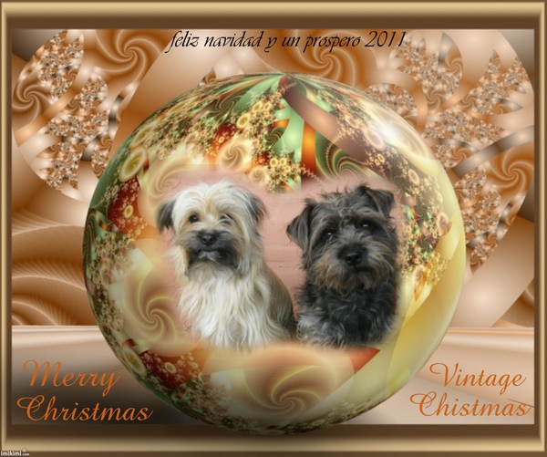 feliz navidad y un prospero 2011