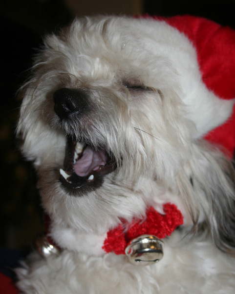 Ho ho ho Merry christmas!