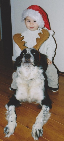 montie e jesse 6 jaar geleden